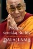 Podążaj ścieżką Buddy